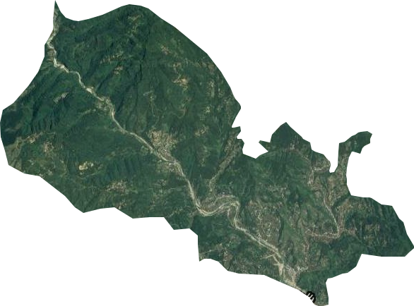 大德鄉衛星圖