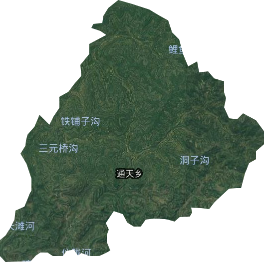 通天鄉(xiāng)衛(wèi)星圖