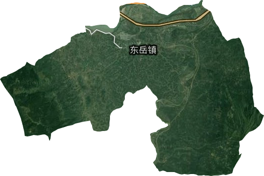 東岳鎮衛星圖