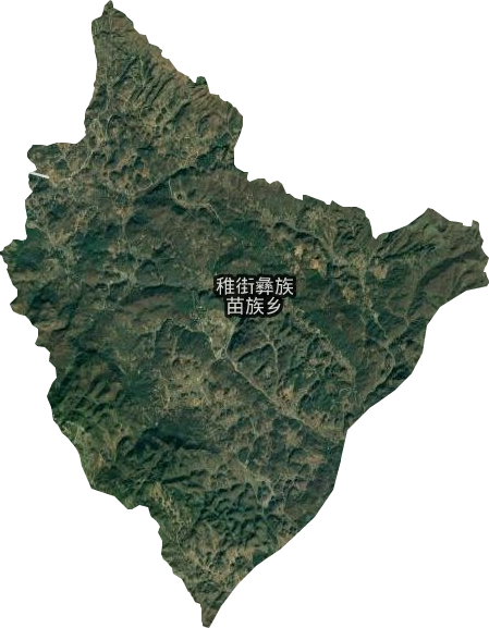 雉街鄉(xiāng)衛(wèi)星圖