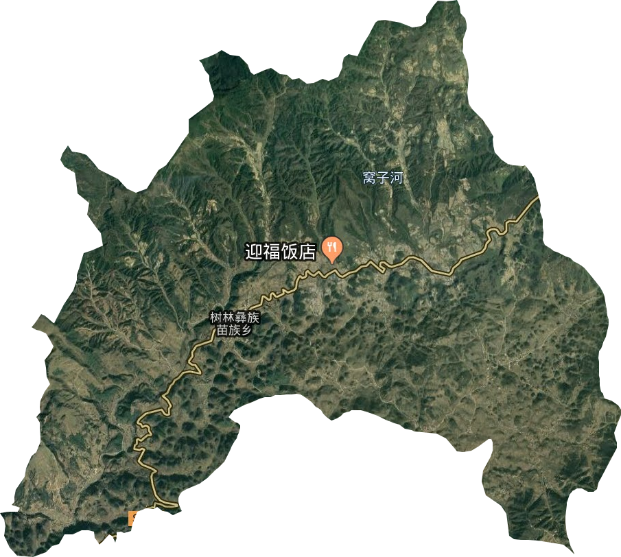 樹林彝族苗族鄉(xiāng)衛(wèi)星圖