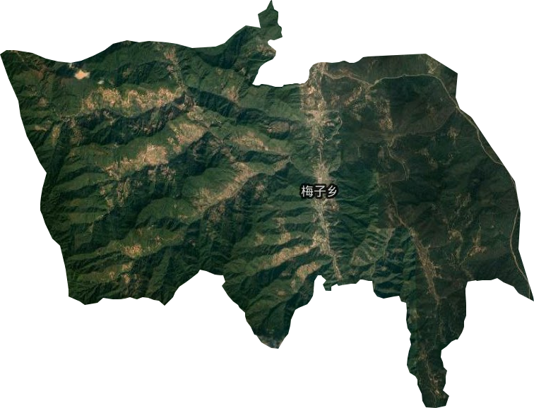 梅子鎮(zhèn)衛(wèi)星圖