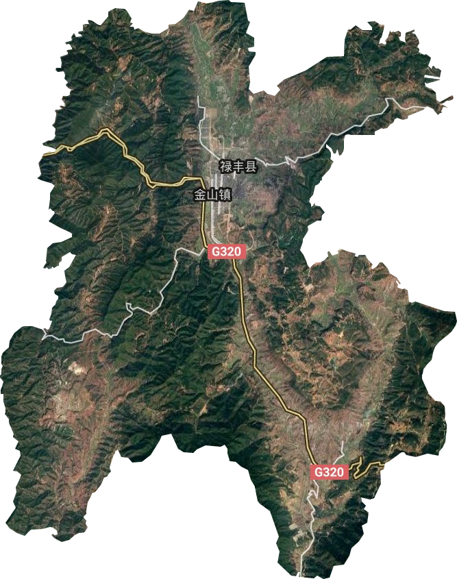 金山鎮衛星圖