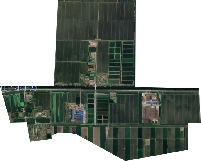 黃莊農場衛星圖
