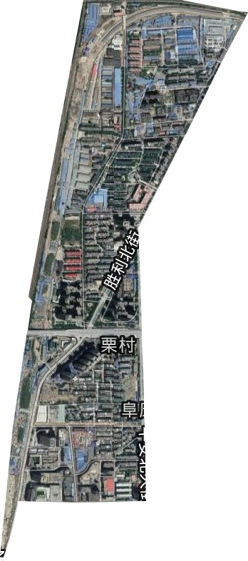 阜康街道衛星圖