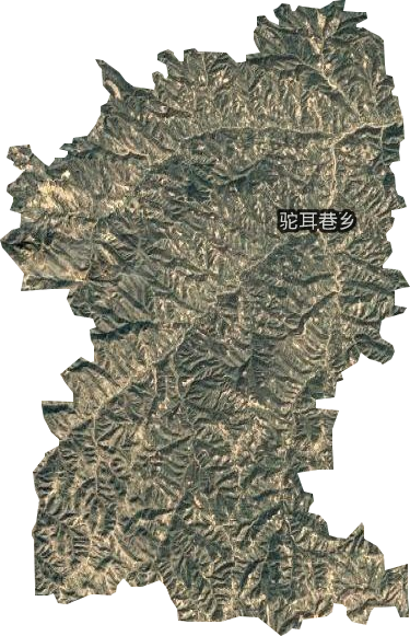 駝耳巷鄉(xiāng)衛(wèi)星圖