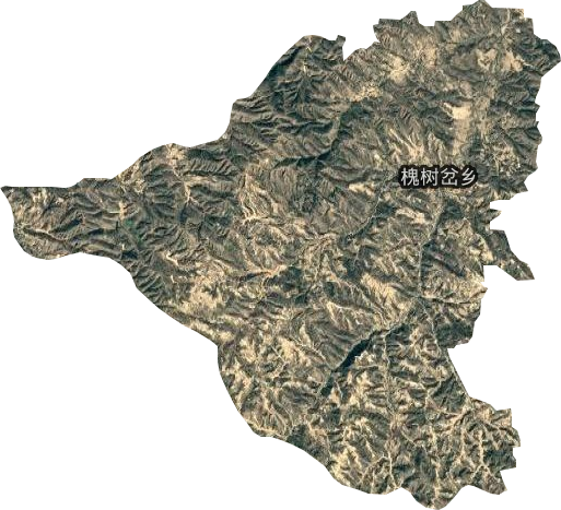 槐樹(shù)岔鄉(xiāng)衛(wèi)星圖