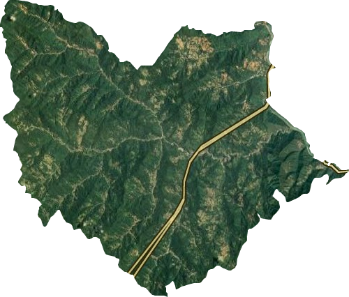 桐木鎮(zhèn)衛(wèi)星圖