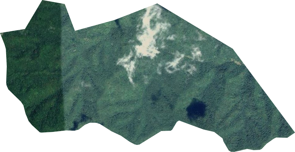 天水市高新技術(shù)工業(yè)園衛(wèi)星圖