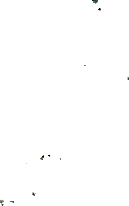 章村街道衛星圖