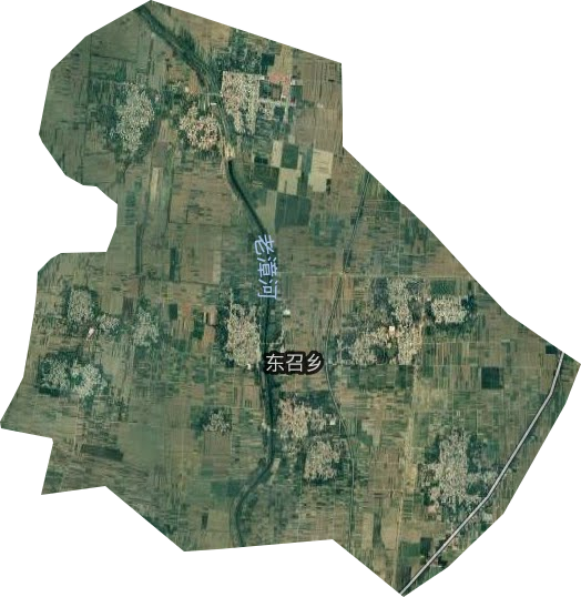 東召鄉(xiāng)衛(wèi)星圖