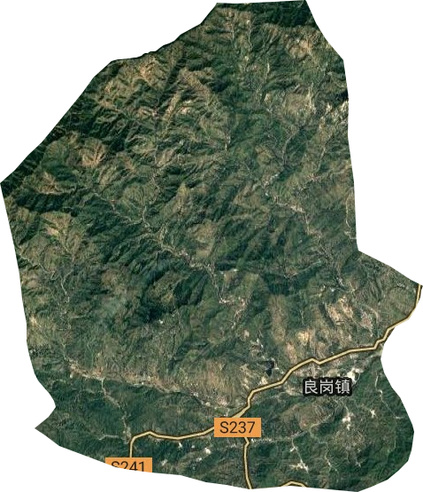 良崗鎮(zhèn)衛(wèi)星圖