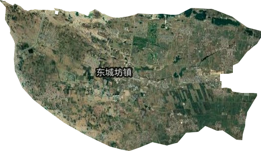 東城坊鎮衛星圖