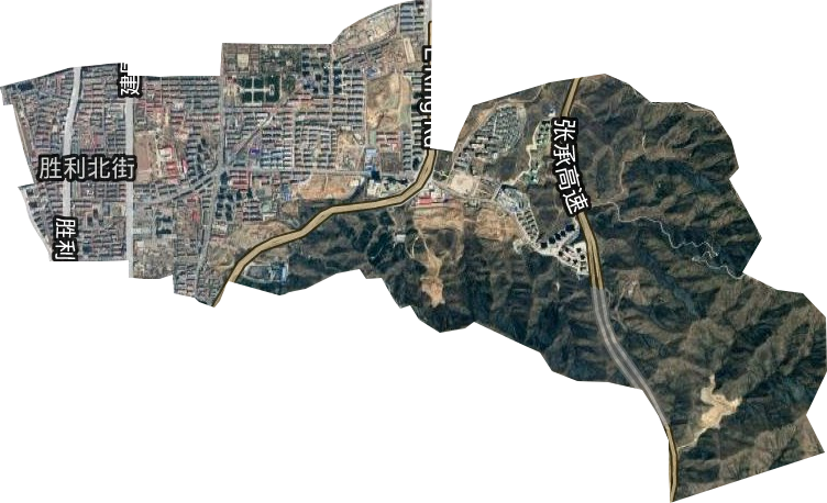 勝利北路街道衛星圖
