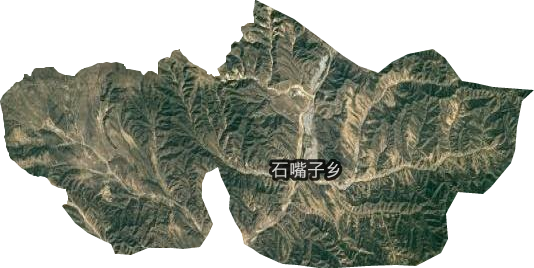 石嘴子鄉衛星圖
