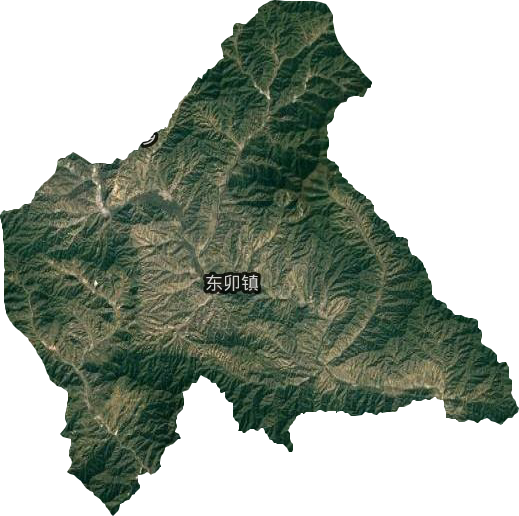 東卯鎮(zhèn)衛(wèi)星圖