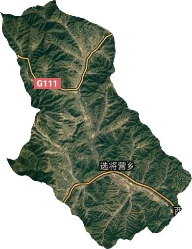 選將營(yíng)鄉(xiāng)衛(wèi)星圖