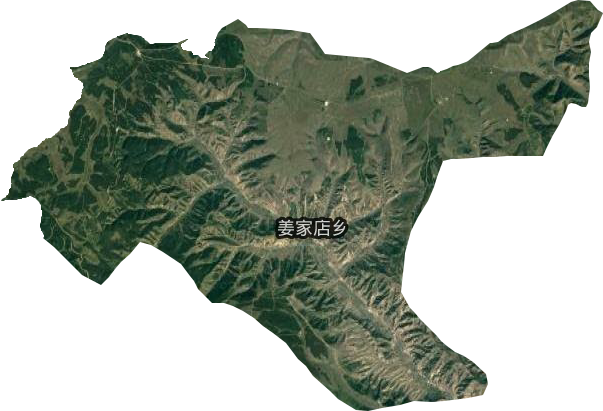 姜家店鄉(xiāng)衛(wèi)星圖