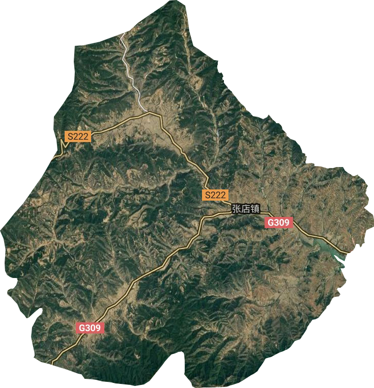 張店鎮衛星圖