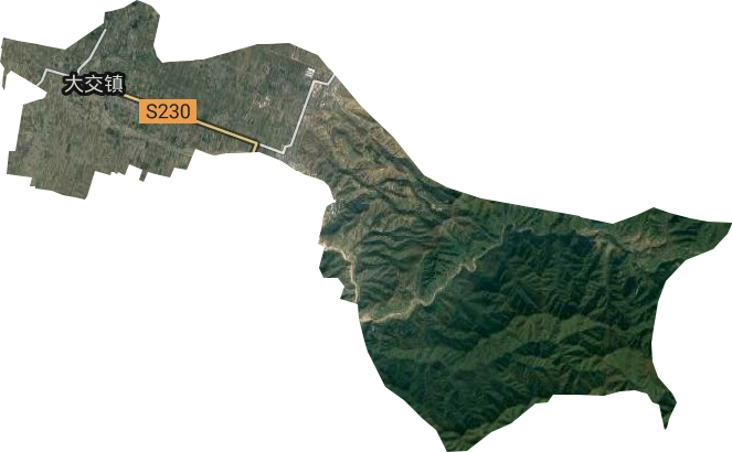 大交鎮衛星圖