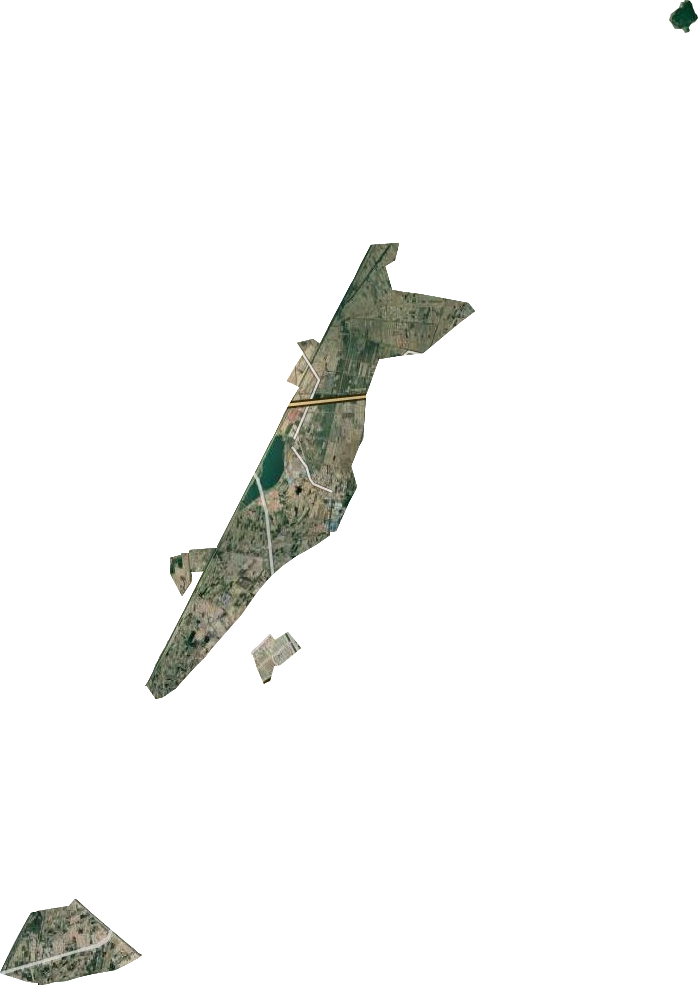 臨河農場衛星圖