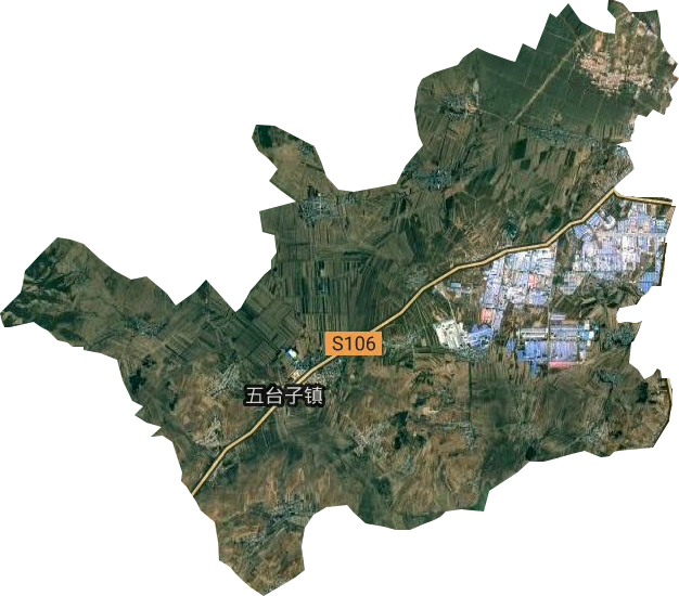 五臺子鎮(zhèn)衛(wèi)星圖