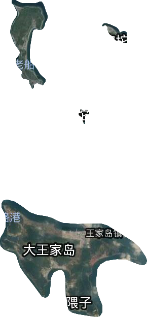 王家鎮(zhèn)衛(wèi)星圖