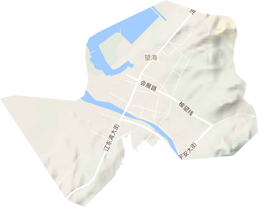 望海街道地形圖