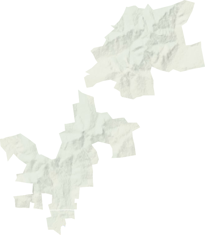龍河鎮(zhèn)保安林場地形圖