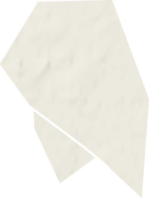 國(guó)營(yíng)中興邊防林場(chǎng)地形圖