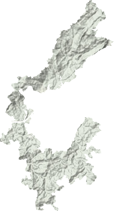 新龍鄉(xiāng)地形圖