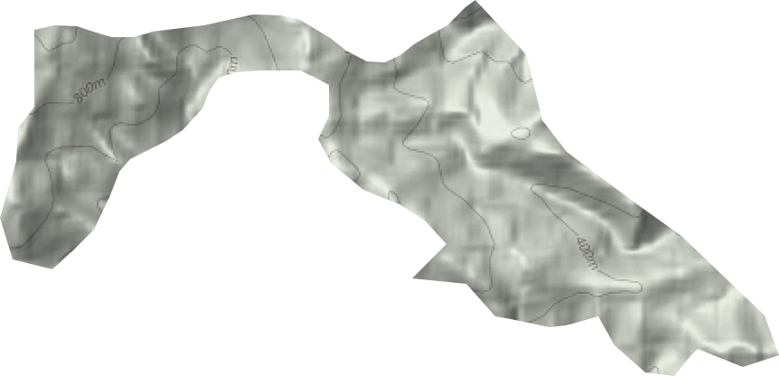 藥姑林場地形圖