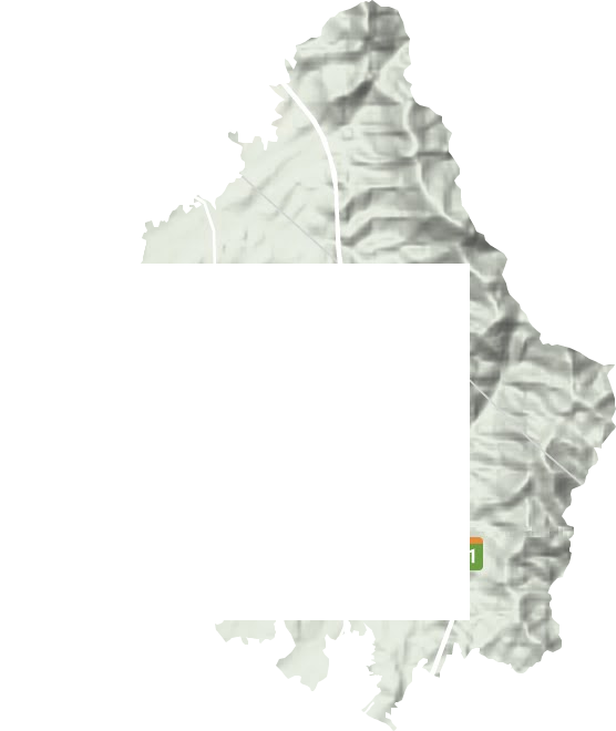 黃獺嘴鎮(zhèn)地形圖