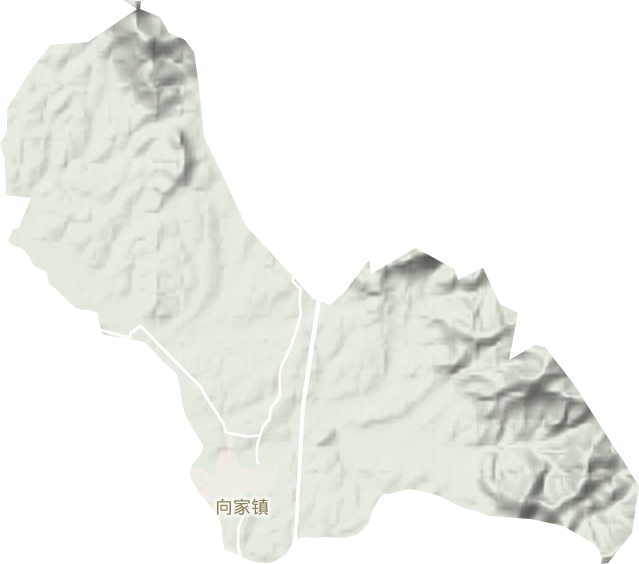 向家鎮(zhèn)地形圖