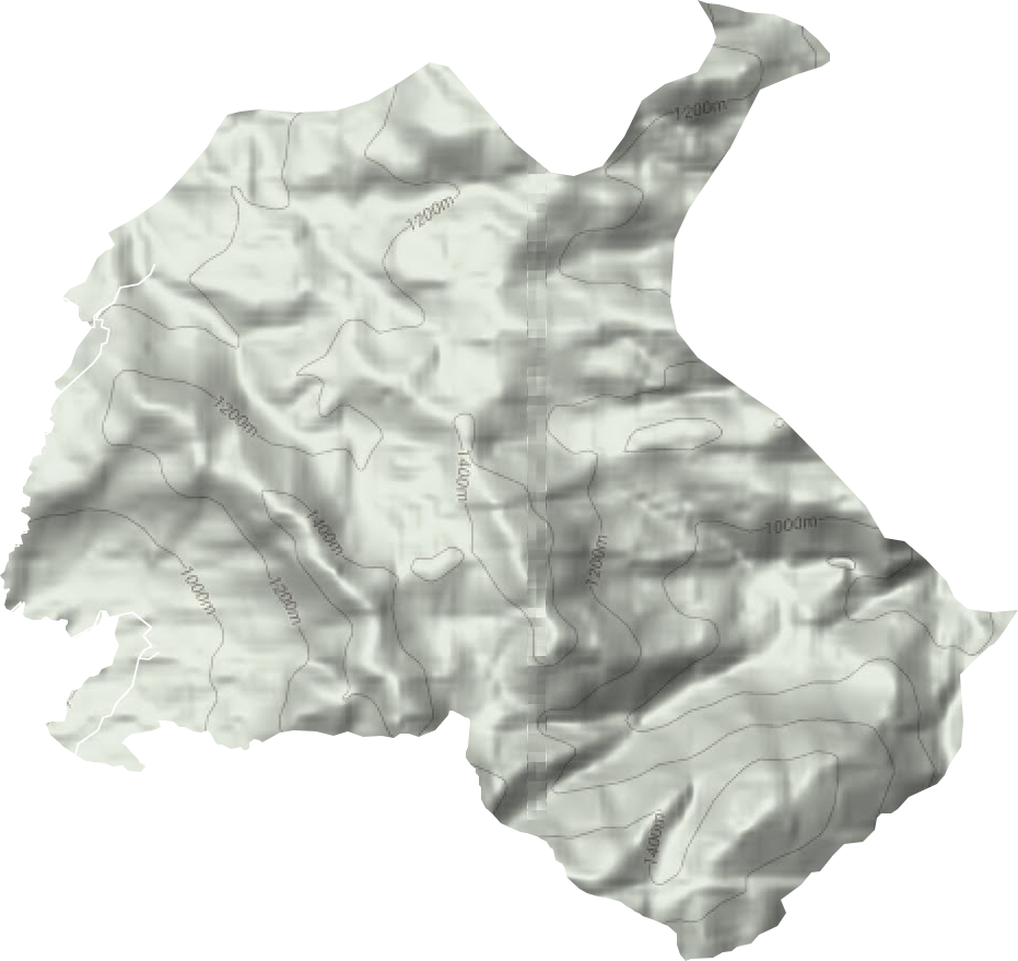 禾洞農(nóng)林場(chǎng)地形圖