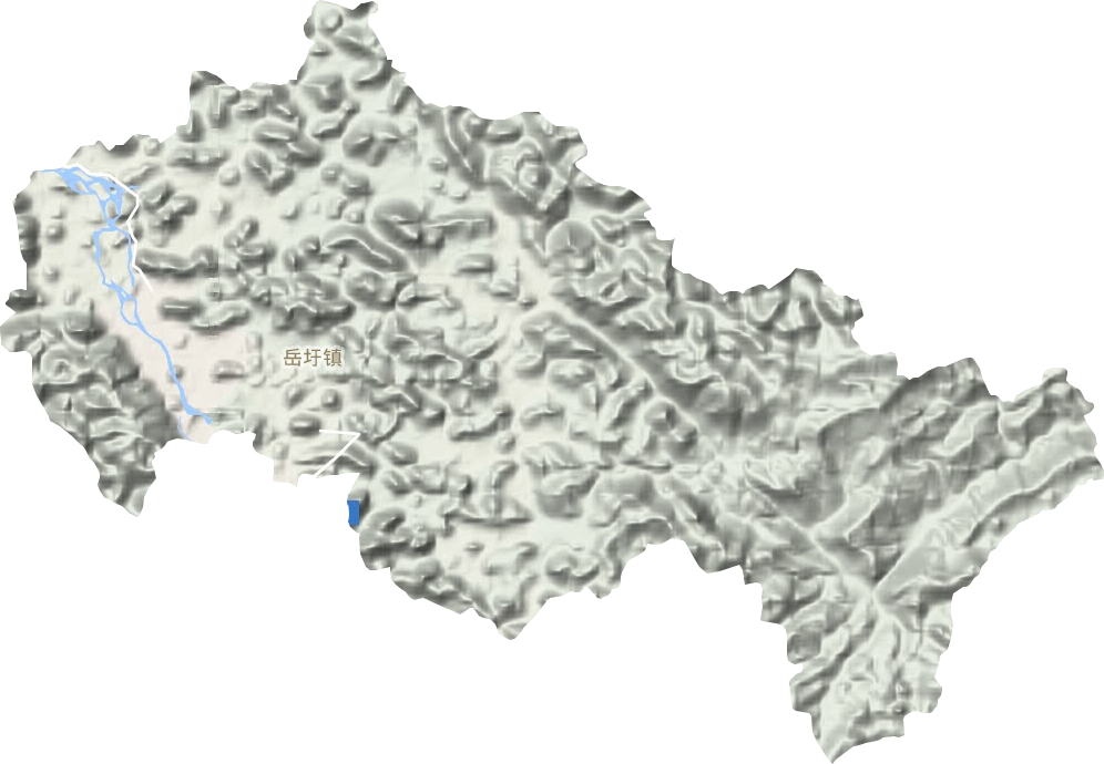岳圩鎮(zhèn)地形圖
