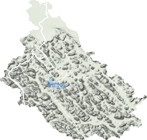 金龍鎮(zhèn)地形圖