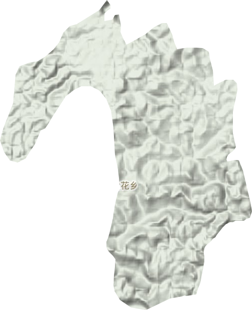金花鄉(xiāng)地形圖