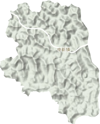 中新鎮(zhèn)地形圖