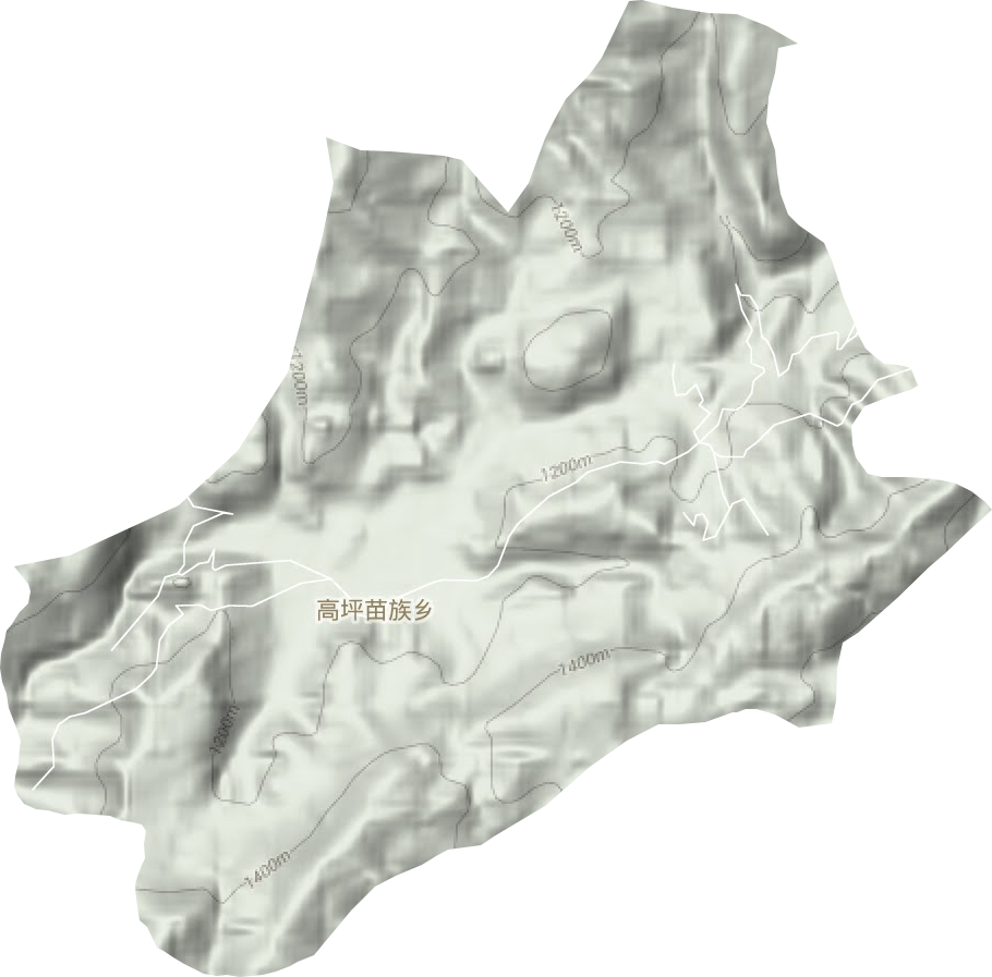 高坪苗族鄉(xiāng)地形圖