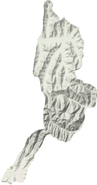 龍藏鄉(xiāng)地形圖