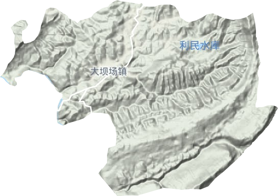 大壩場鎮(zhèn)地形圖