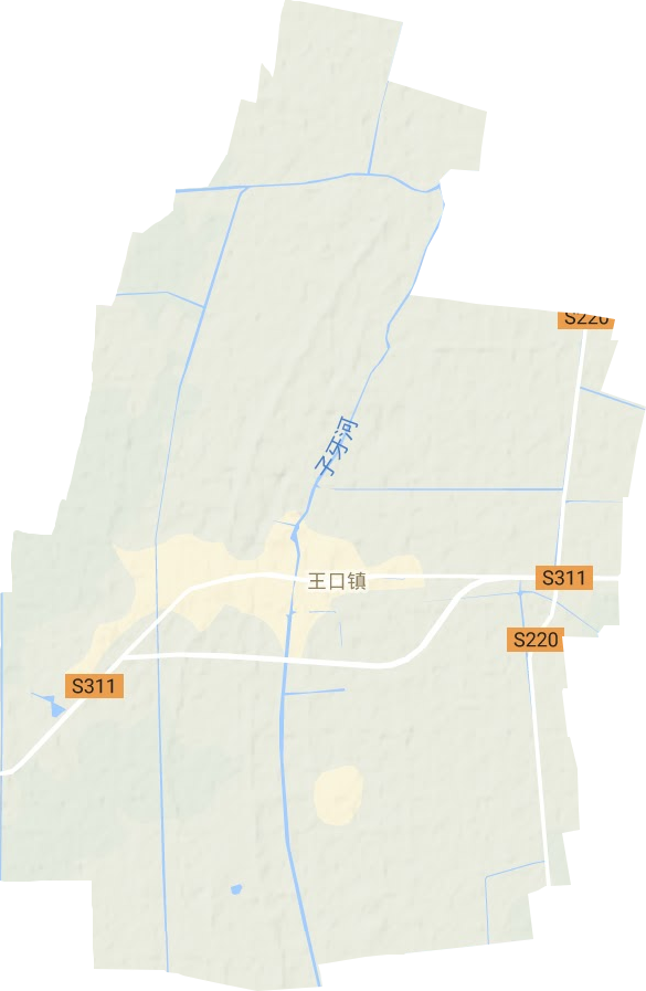 王口鎮(zhèn)地形圖