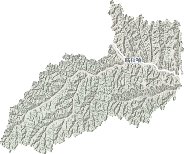 臨鎮(zhèn)地形圖