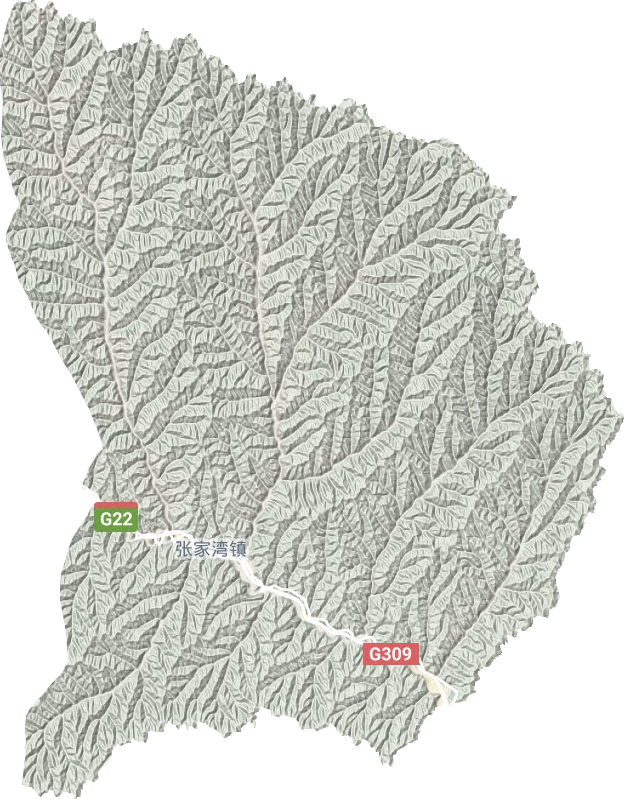 張家灣鎮(zhèn)地形圖