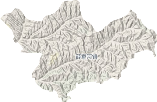 薛家河鎮(zhèn)地形圖