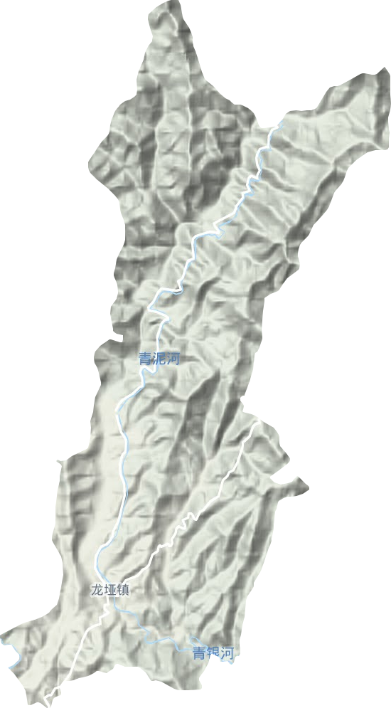 龍埡鎮(zhèn)地形圖