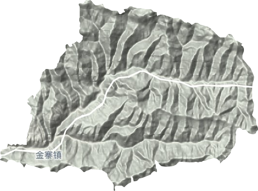 金寨鎮(zhèn)地形圖