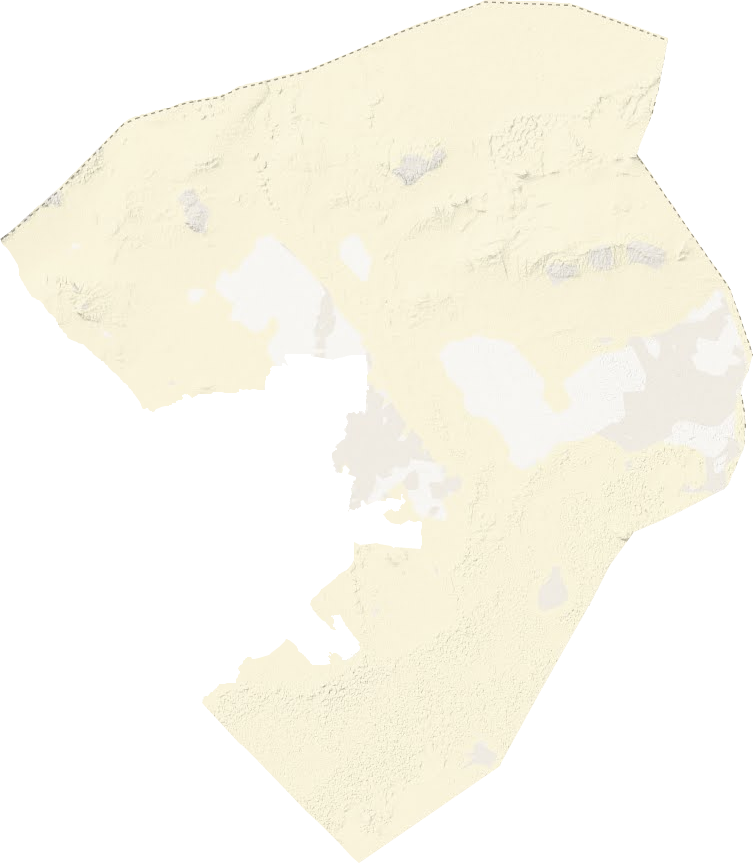 東湖鎮(zhèn)地形圖