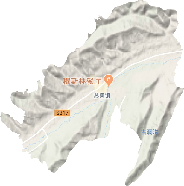 蘇集鎮(zhèn)地形圖